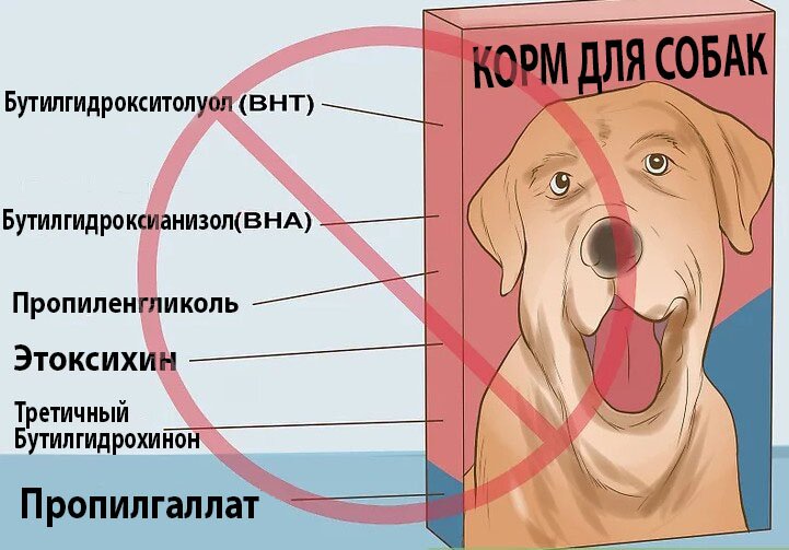 консерванты в корма для собак